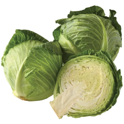 Buy CABBAGE for sale online.