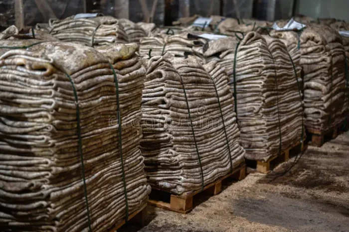 Buy Camel Hides & Skins for sale online