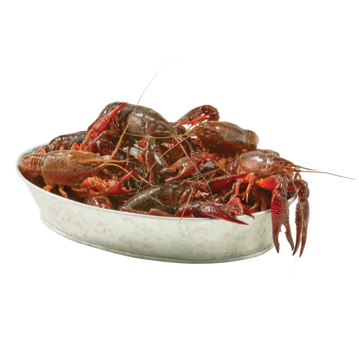 Buy Crayfish (Crawfish) for Sale Online