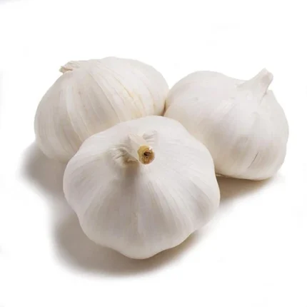 Buy Garlic for Sale Online