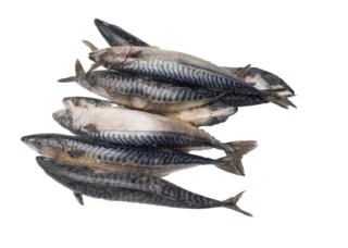 Buy Mackerel for Sale Online