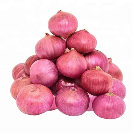 Buy Onions for Sale Online