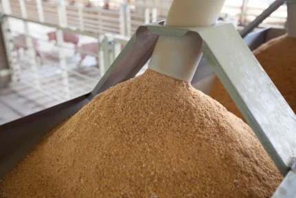 Buy Soybean Meal for sale online
