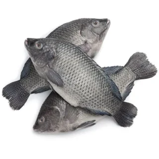 Buy Tilapia for Sale Online