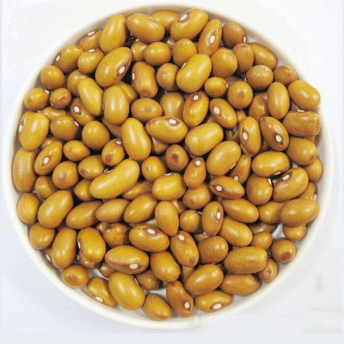 Buy Yellow Kidney Beans for Sale